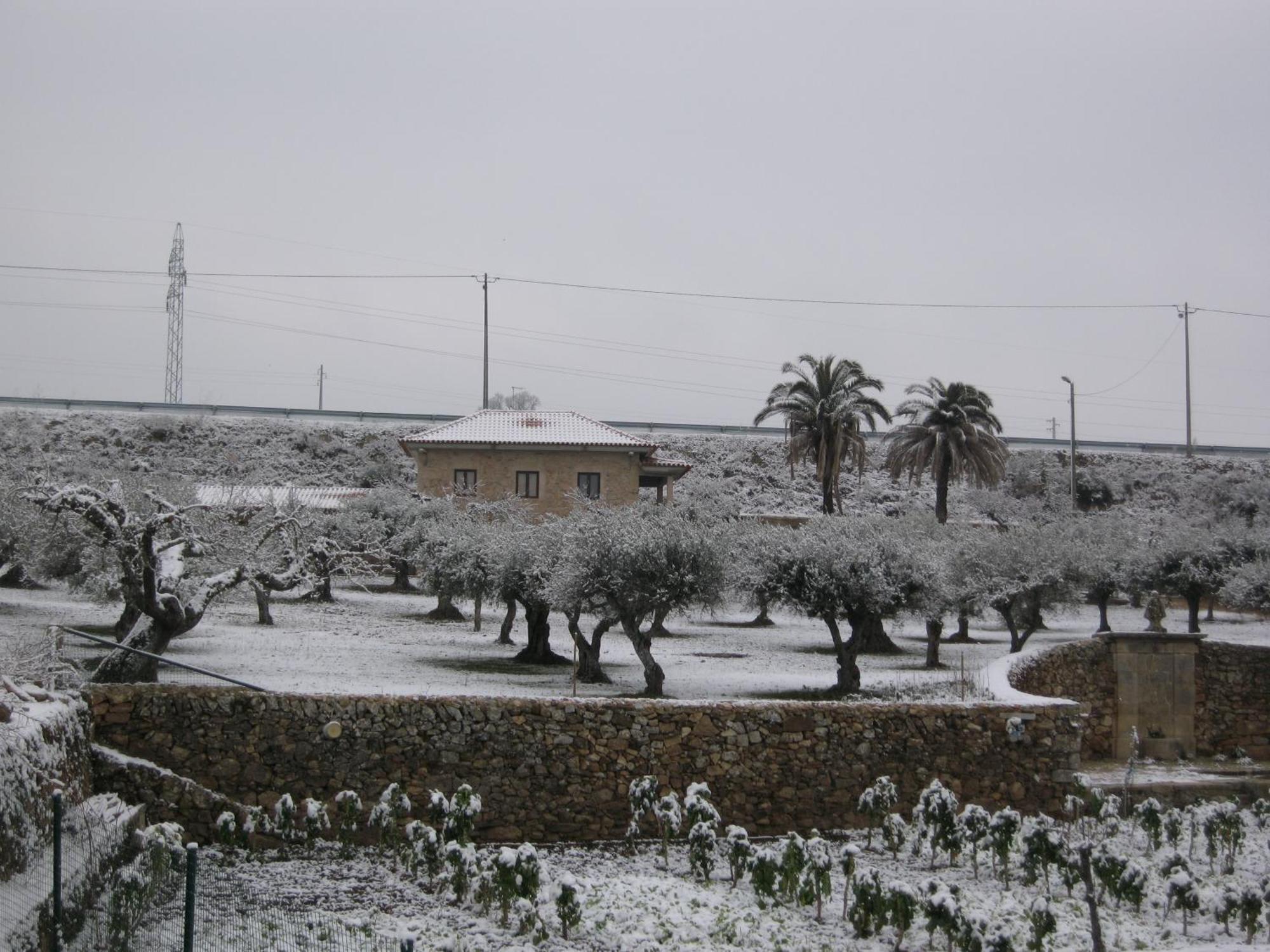 Quinta Das Pias - Holiday Farm Pinhel Zewnętrze zdjęcie