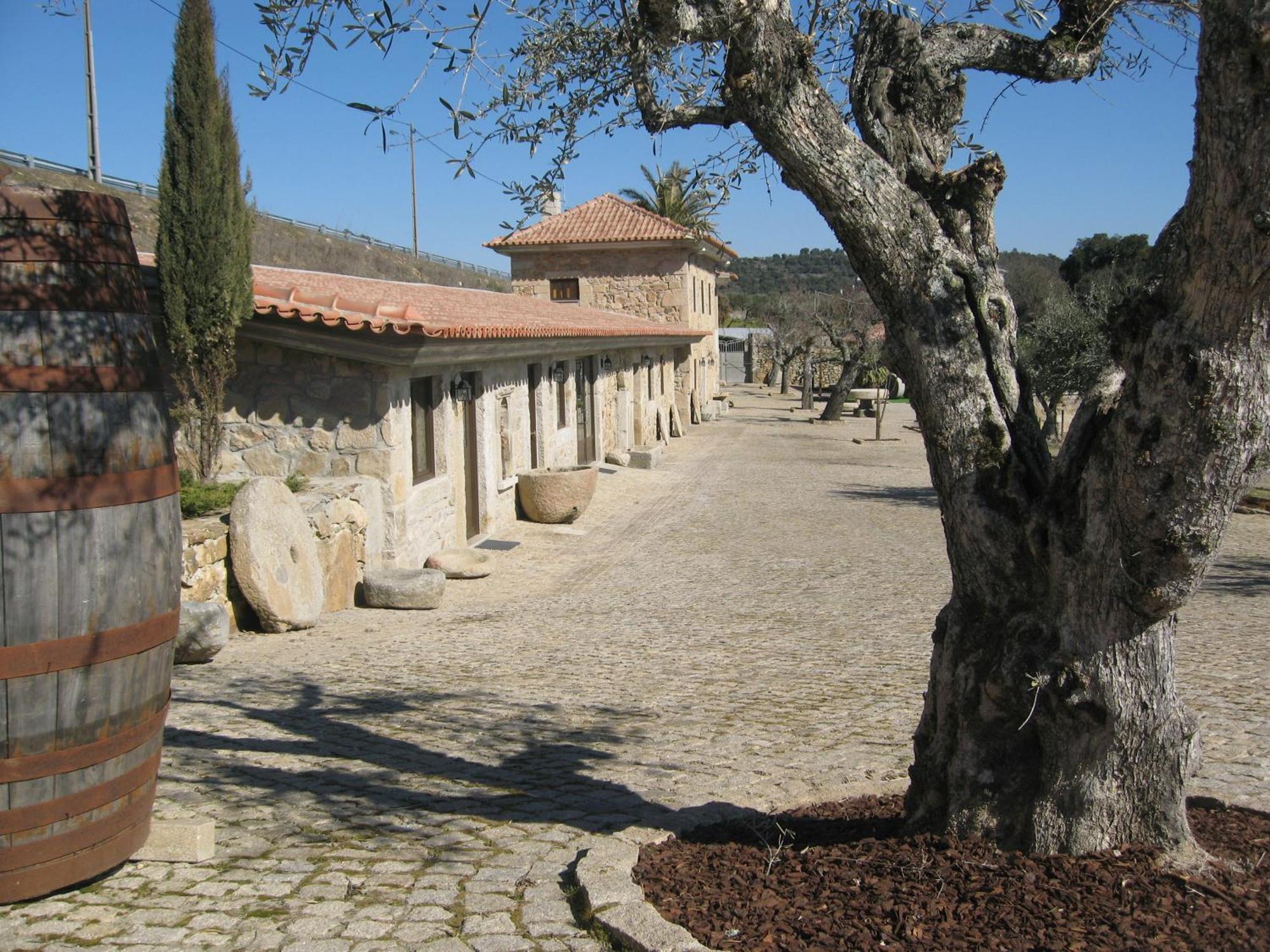 Quinta Das Pias - Holiday Farm Pinhel Zewnętrze zdjęcie