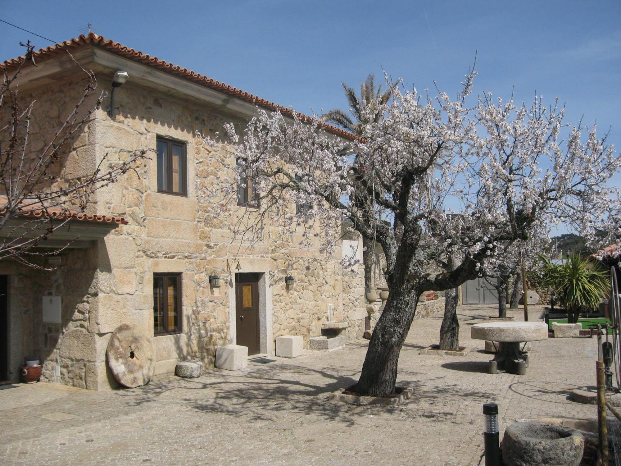 Quinta Das Pias - Holiday Farm Pinhel Zewnętrze zdjęcie
